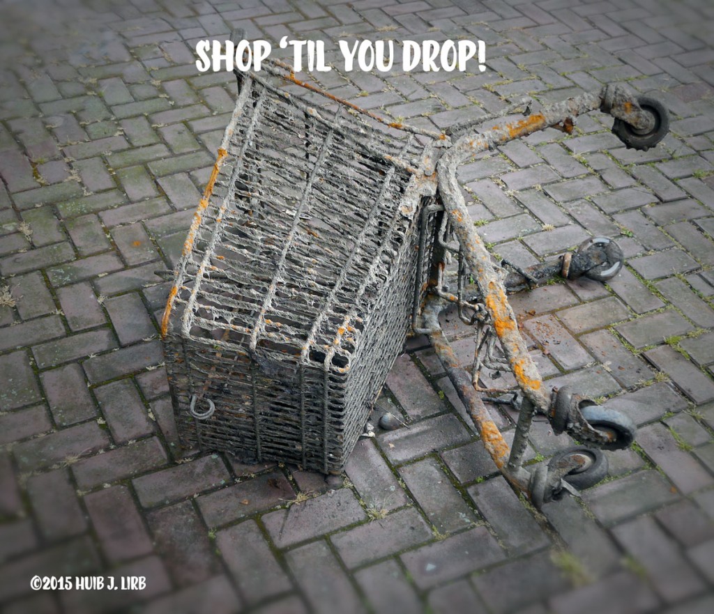 Shop ‘til You Drop! Winkelwagentje op de kant langs het oosterdok in Amsterdam ©2015 Huib J. Lirb