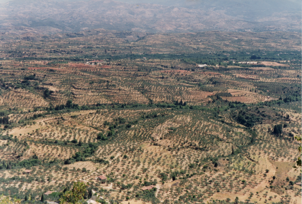 Gezicht op de locatie van Sparta in Eurotas vallei vanafhet klooster Mystras (Foto ©1993/2019 Huib J. Lirb)